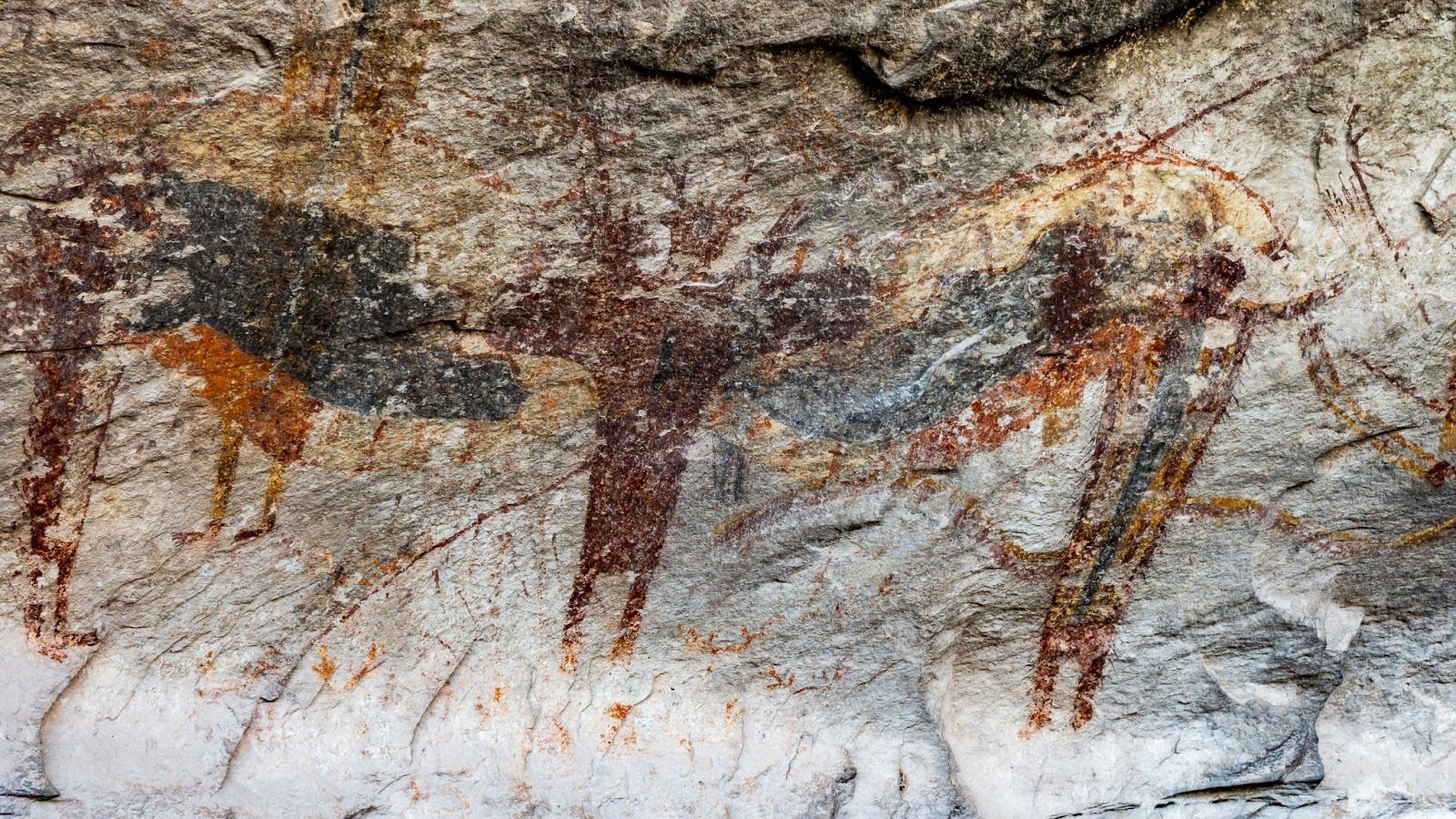 Seminole State Park Rock Art (Val Verde County).